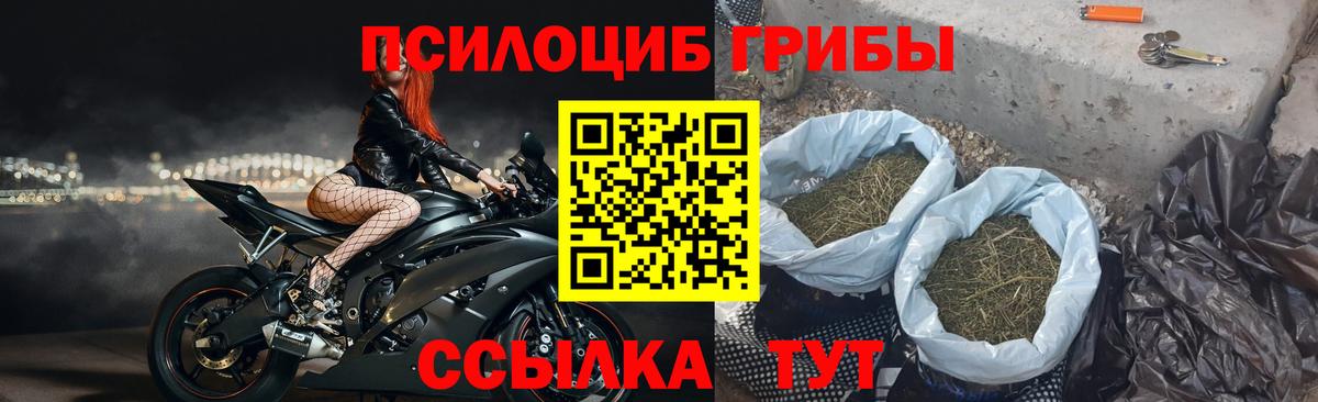 Псилоцибиновые грибы мицелий Гай